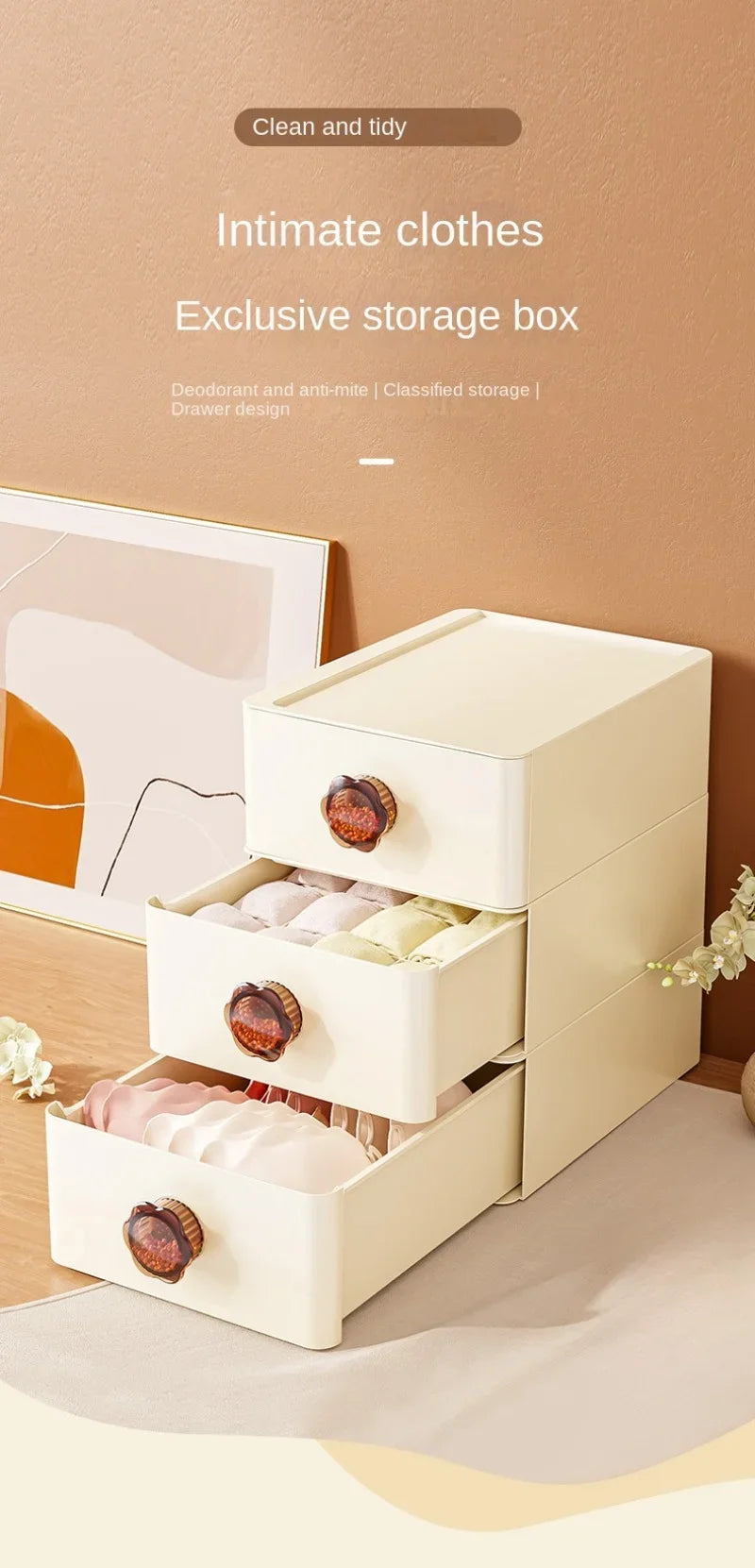 Underwear Storage Drawers