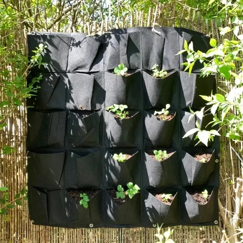 Wall Hanging Planting