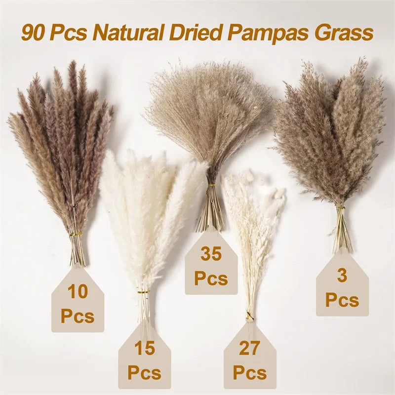 Dried Pampa Natural Decoratios